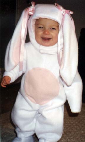 broken tort holland lop