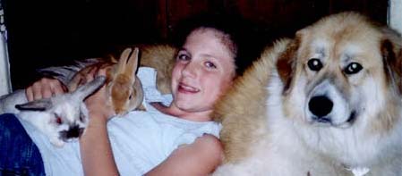 broken sable point holland lop and red mini rex